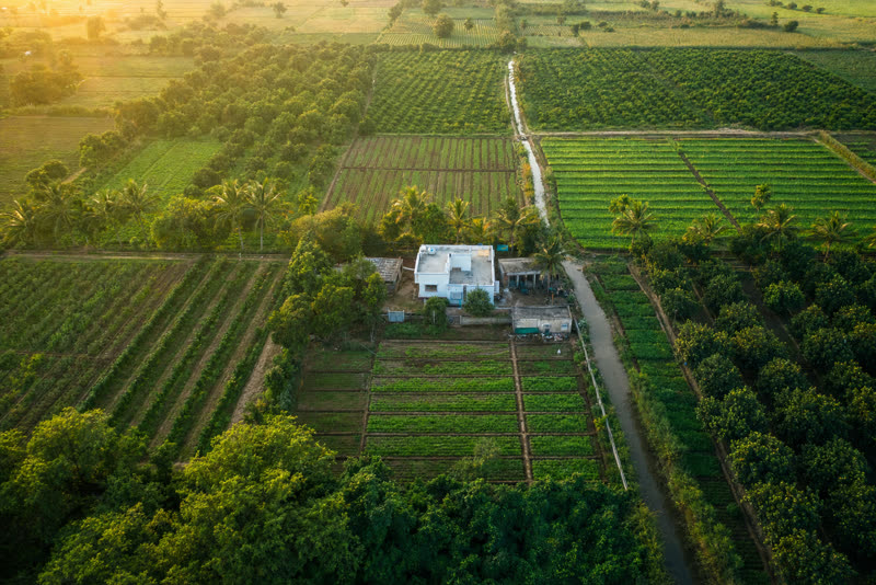 Aerial view of lush organic farmland plots near a farmhouse